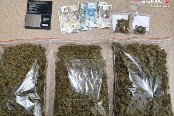 Częstochowscy policjanci przejęli spore ilości marihuany