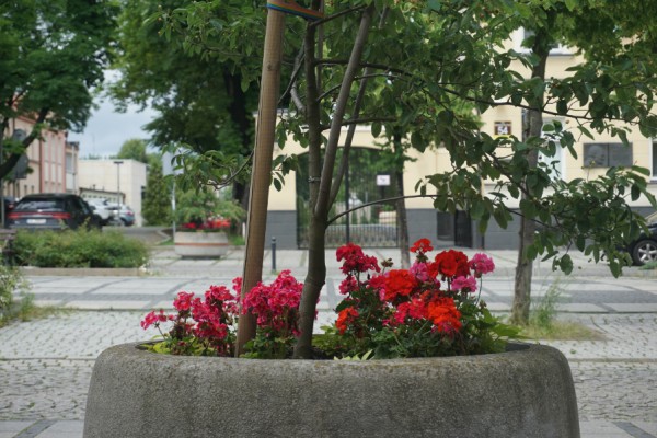 Centrum Częstochowy z kwitnącymi latem kwiatami