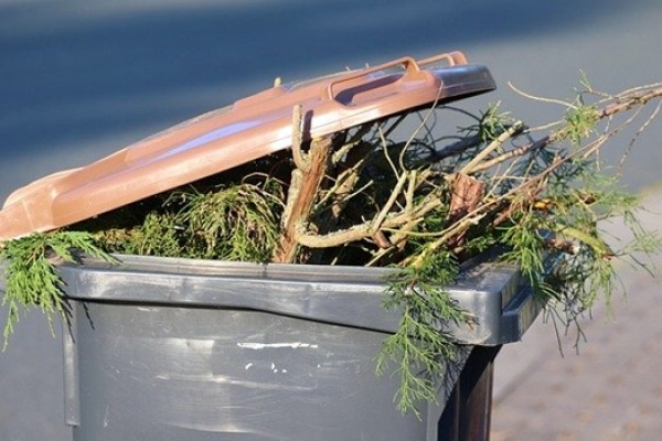 Odpady zielone w Częstochowie. Zmiana sposobu ich odbioru