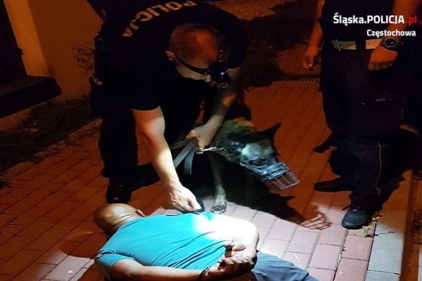 Policyjny pies wytropił parę z Rumunii, która ukradła katalizator z mercedesa