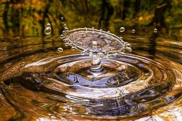 Częstochowska Straż Miejska apeluje o zachowanie bezpieczeństwa nad wodą