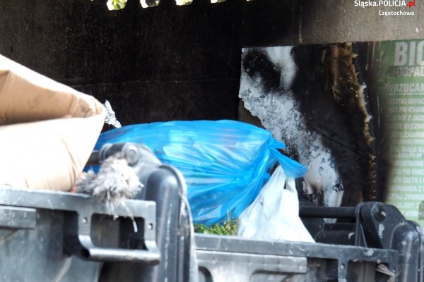 Częstochowska policja zatrzymała dwóch seryjnych podpalaczy śmietników