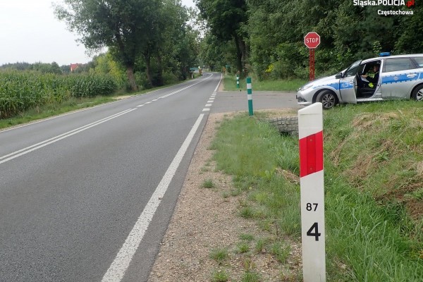 Częstochowska policja szuka świadków wypadku w Wierzchowisku
