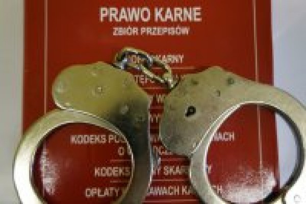 Dwóch przestępców w rękach częstochowskiej policji. Jeden niszczył samochody, drugi okradał sklepy