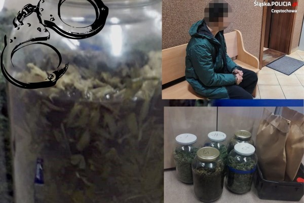 Policyjna suczka Abi wywąchała ponad 7 kg marihuany