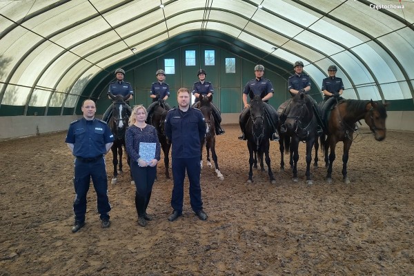 Konie częstochowskiej policji gotowe do służby